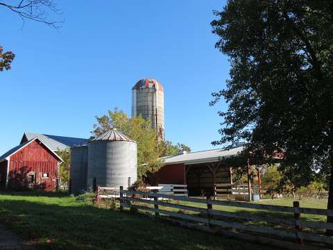 Datrix Alpacas @ Blue Barn Farm