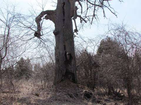 Windy Ridge Conservation Area